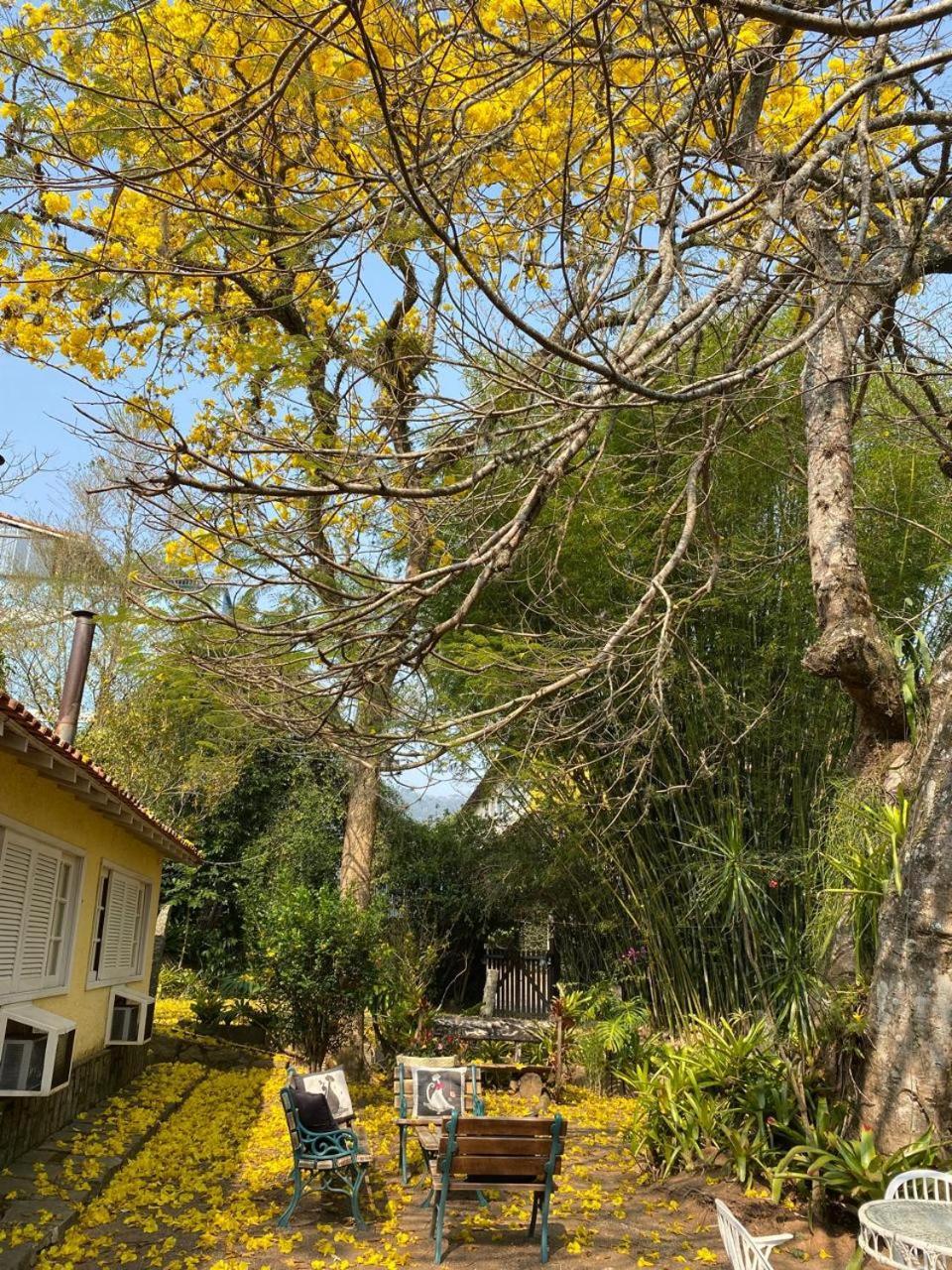 Pousada Casa Do Ipe Amarelo Miguel Pereira Esterno foto