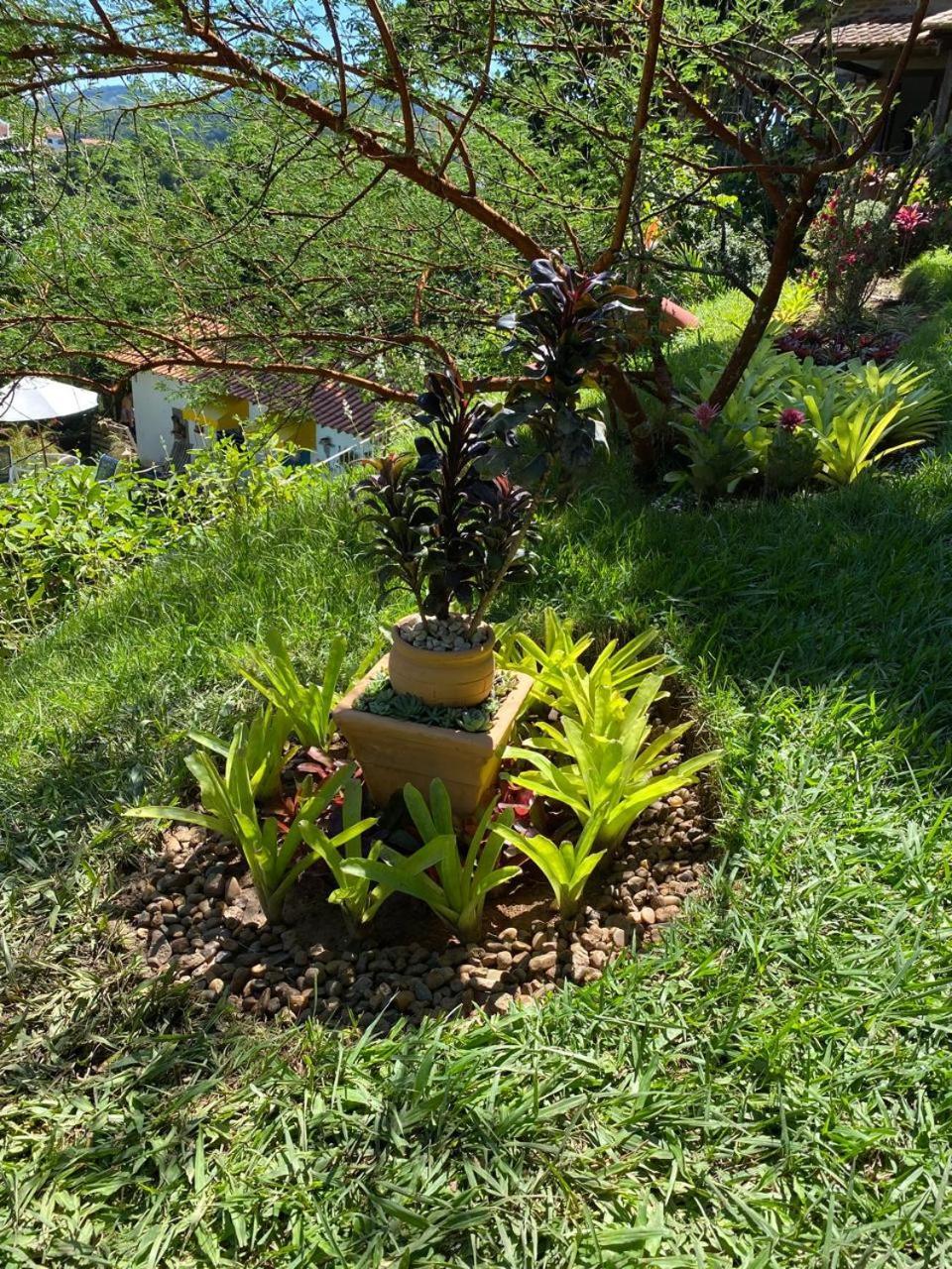 Pousada Casa Do Ipe Amarelo Miguel Pereira Esterno foto