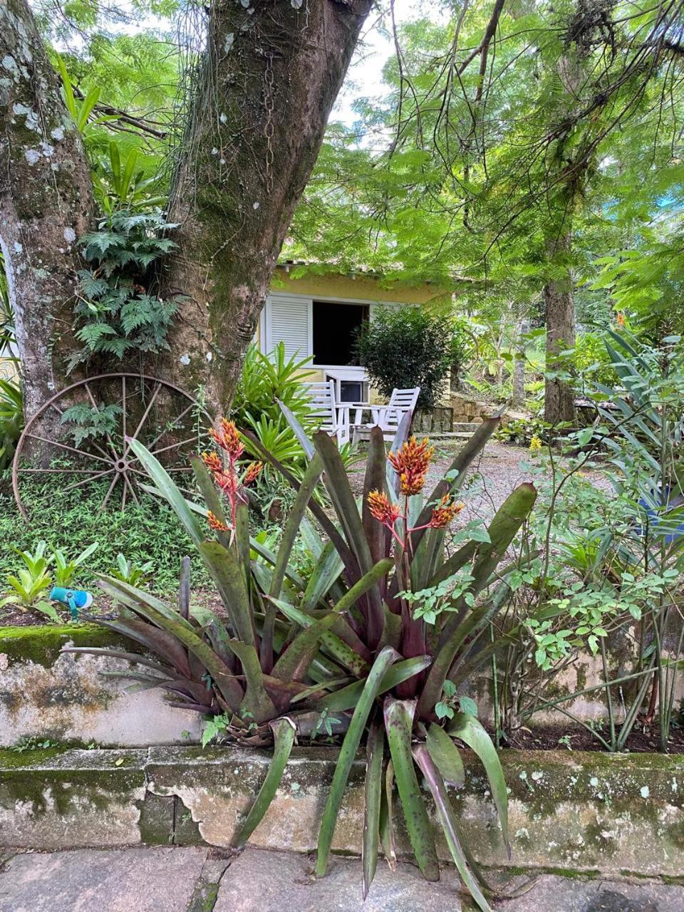 Pousada Casa Do Ipe Amarelo Miguel Pereira Esterno foto