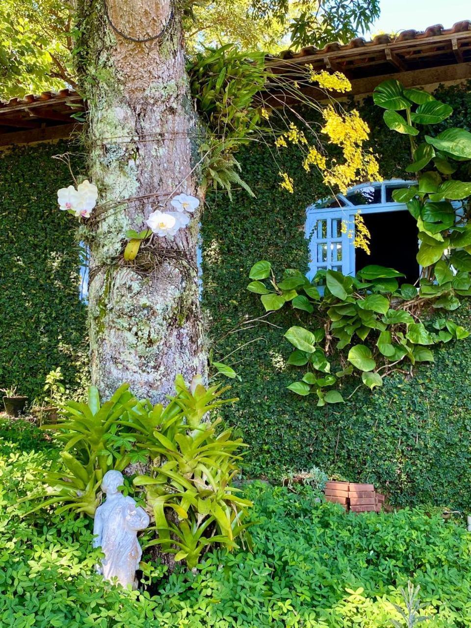 Pousada Casa Do Ipe Amarelo Miguel Pereira Esterno foto